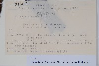 登錄號:P012778藏品圖，第2張