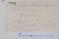 登錄號:P012779藏品圖，第2張