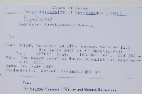 登錄號:P012783藏品圖，第2張