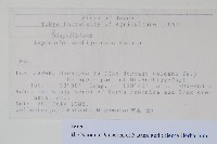 登錄號:P012784藏品圖，第2張