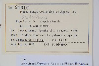 登錄號:P012793藏品圖，第2張