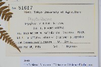 登錄號:P012794藏品圖，第2張