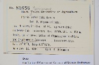 登錄號:P012800藏品圖，第2張