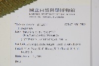 登錄號:P012803藏品圖，第2張