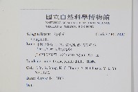 登錄號:P012807藏品圖，第2張