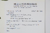 登錄號:P012808藏品圖，第2張