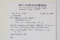 石松藏品圖，第2張