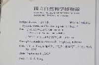 松田氏石葦藏品圖，第2張