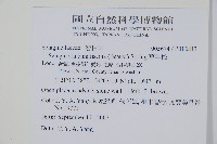 萬年松藏品圖，第2張