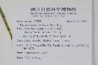 木賊藏品圖，第2張