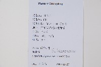 海金沙藏品圖，第2張