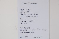 箭葉鳳尾蕨藏品圖，第2張