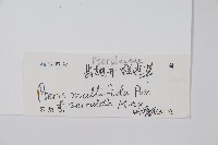 登錄號:P012862藏品圖，第2張