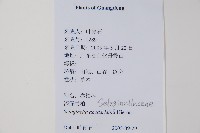 生根卷柏藏品圖，第2張