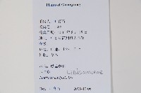 箭葉鱗始蕨藏品圖，第2張