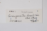 雨蕨藏品圖，第2張