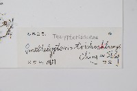 登錄號:P012873藏品圖，第2張