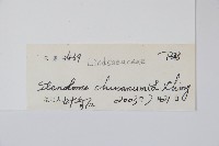 烏蕨藏品圖，第2張