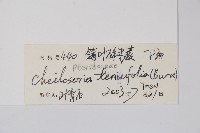 登錄號:P012885藏品圖，第2張