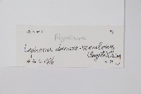 粵瓦葦藏品圖，第2張