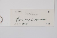 登錄號:P012891藏品圖，第2張