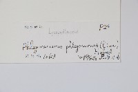 登錄號:P012905藏品圖，第2張