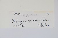 華東瘤足蕨藏品圖，第2張