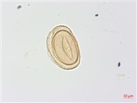 登錄號:P013924藏品圖，第3張