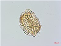 登錄號:P014939藏品圖，第3張