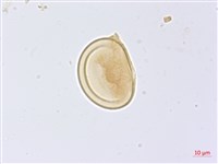 登錄號:P014942藏品圖，第2張