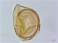 登錄號:P014947藏品圖，第3張