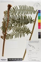 登錄號:P021157藏品圖，第5張