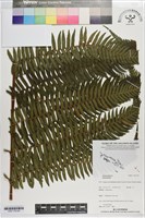 登錄號:P021178藏品圖，第4張