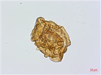 登錄號:P024765藏品圖，第3張