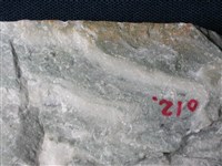 大理岩藏品圖，第2張