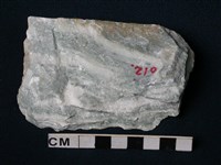 大理岩藏品圖，第3張
