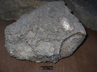 角礫岩藏品圖，第5張