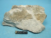 石英砂岩藏品圖，第5張