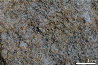 石英砂岩藏品圖，第4張