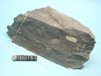 粉砂岩藏品圖，第5張