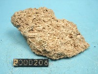 石灰華藏品圖，第6張