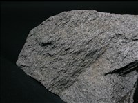 片岩藏品圖，第2張