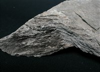 片岩藏品圖，第3張