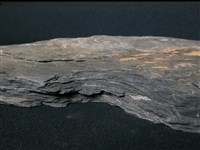 片岩藏品圖，第3張