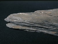 片岩藏品圖，第4張