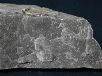 大理岩藏品圖，第2張