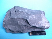 頁岩藏品圖，第5張