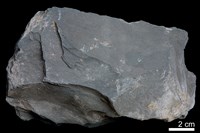 頁岩藏品圖，第1張