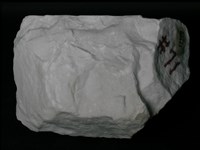 白雲岩藏品圖，第3張