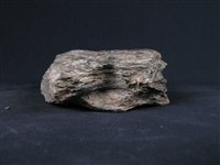 矽質片岩藏品圖，第4張